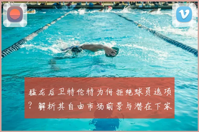 猛龙后卫特伦特为何拒绝球员选项？解析其自由市场前景与潜在下家